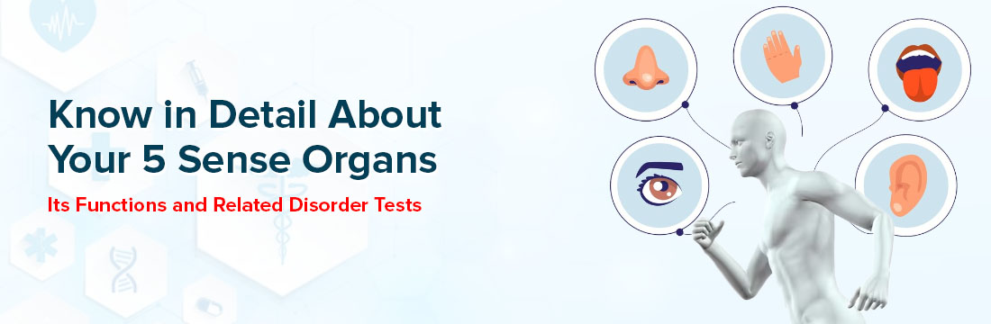 Know In Detail About Your 5 Sense Organs: Its Functions and Related Disorder Tests